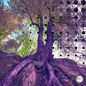 3 Top Addiction Quotes